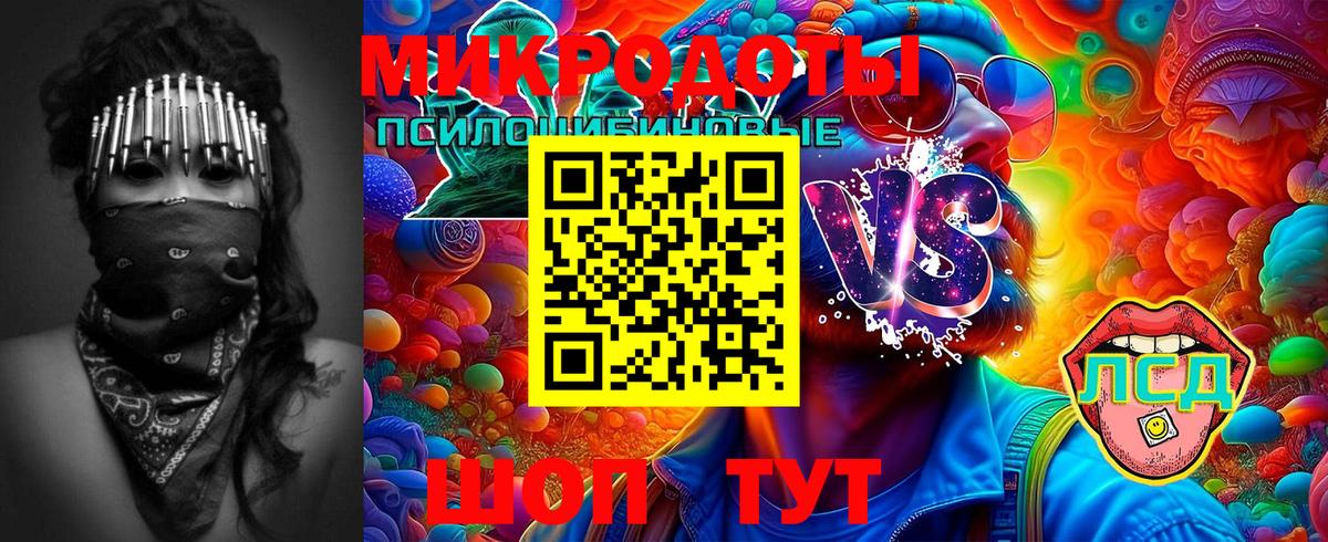 где купить наркотик  Галлюциногенные грибы Magic Shrooms  Вход с VPN  Грозный 
