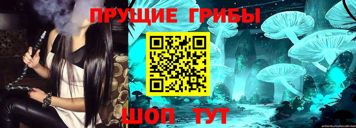 Псилоцибиновые грибы ЛСД Грозный